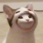 NubBob
