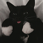 aws