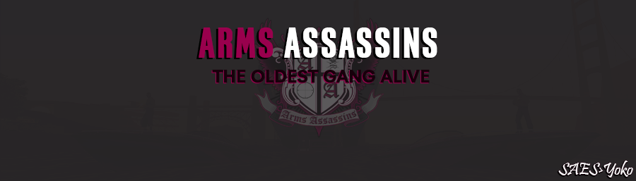 [AA] Arms Assassins